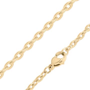 18K Gold Pvd Stainless Steel Flat Oval Loop Chain