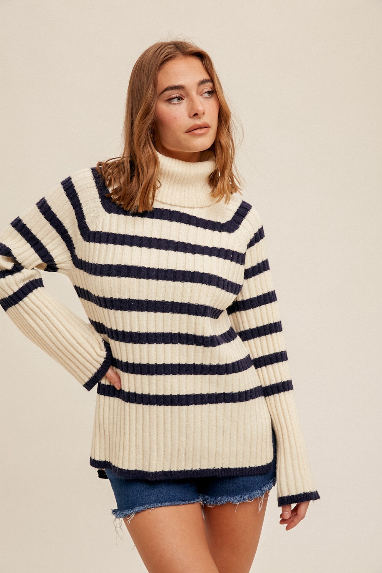 Turtleneck Stripe Sweater