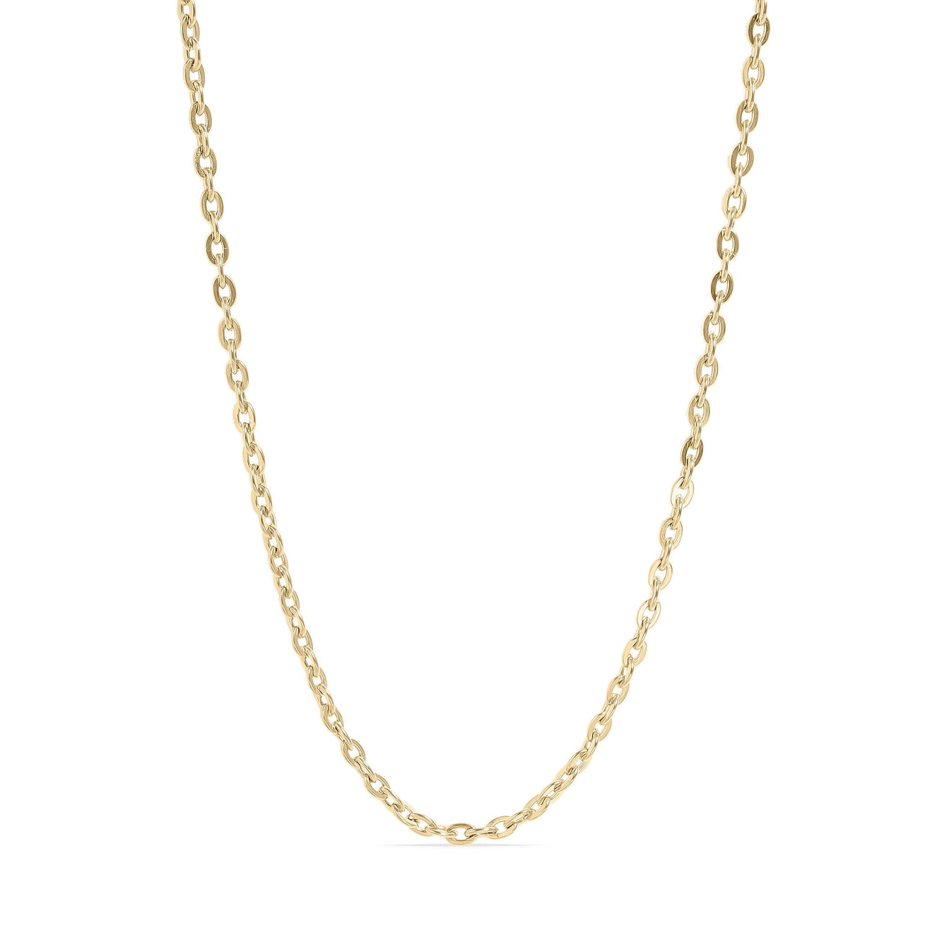 18K Gold Pvd Stainless Steel Flat Oval Loop Chain