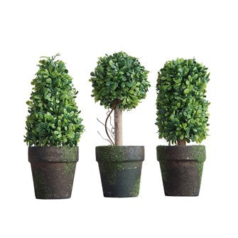 Topiary Set of 3