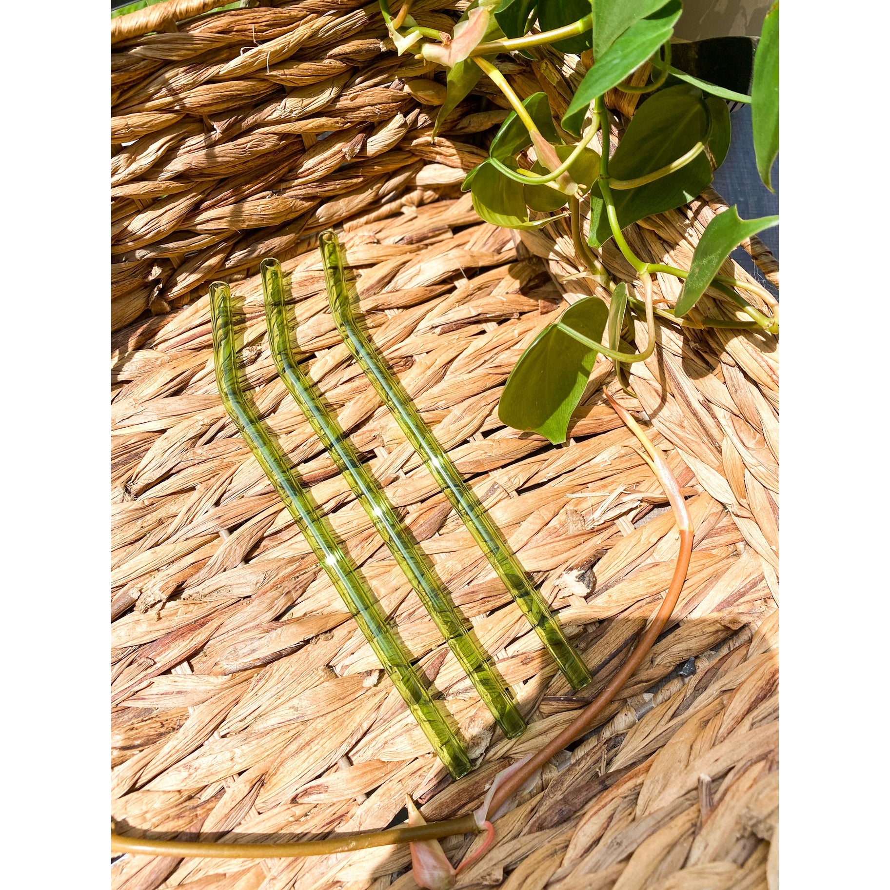 Sage Green Reusable Glass Drinking Straw